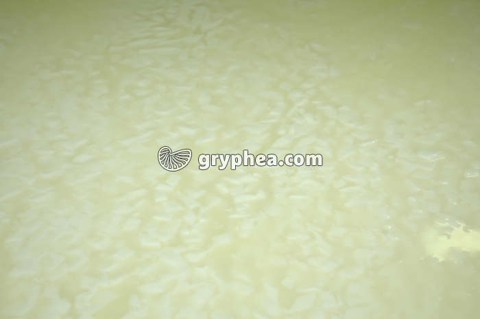 Fabrication du fromage - Caillé et petit lait résiduel après tranchage - gryphea.com